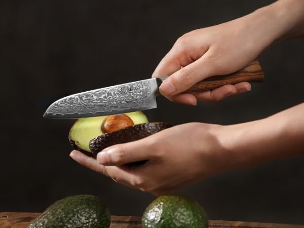 Wakoli EDIB Pro 4-Piece Damascus Knife Set – Professional Chef Knives Set with VG10 Core Blades, 67-Layer Damascus Steel and Ergonomic Pakkawood Handles – Premium Kitchen Knives in Elegant Gift Box