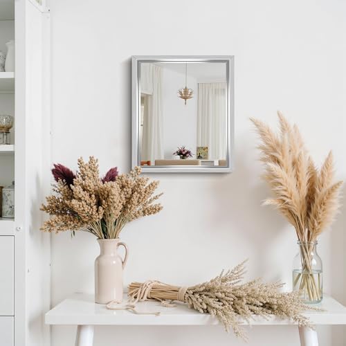 CIRCUMI 14"x16" Brushed Silver Bathroom Mirror, Rectangular Vanity Mirror