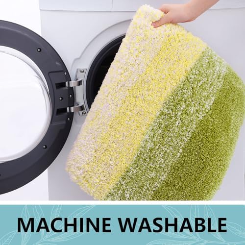 Arotive Microfiber Bathroom Rugs, Shaggy Soft Absorbent Bath Rug, 30x20