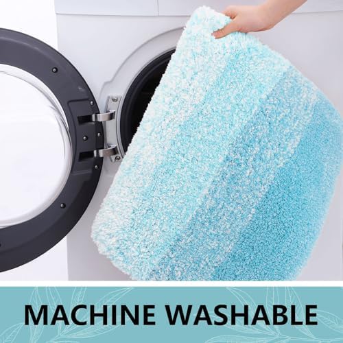 Arotive Microfiber Bathroom Rugs, Shaggy Soft Absorbent Bath Rug, 24x16