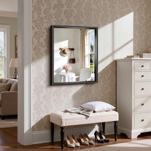 CIRCUMI 24"x30" Brushed Black Bathroom Mirror, Rectangular Vanity Mirror