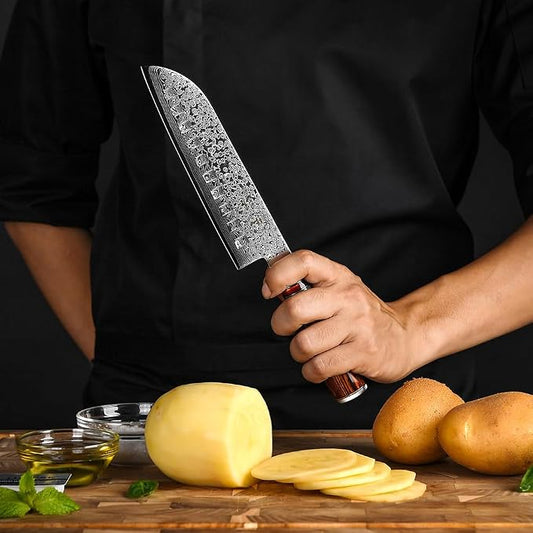 FANTECK Damascus Santoku Knife, 7 Inch Kitchen Knife Ultra Sharp Japanese VG10 67 Layers Stainless Steel Chef Knife,High Carbon Meat Fruit Cutting Knife-Pakkawood Handle,Gift box & Plastic Sheath