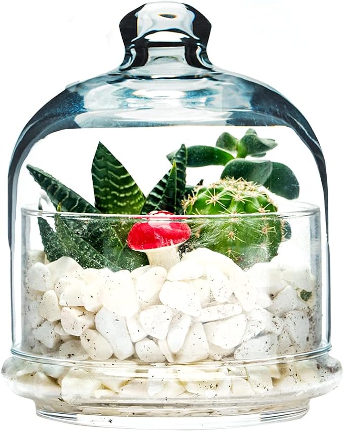Multipurpose Glass Storage Jar with Lid, Avocado, Lemon, Onion, Tomato Keeper/Saver/Holder, Home & Kitchen Organizer (1 Pcs with Glass Lid)