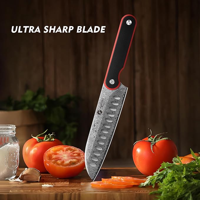 FINTISO Chef Knife 7 Inch Kitchen Knife, Sharp Santoku Knife 67-Layer Damascus Steel with 10Cr15CoMoV Steel Core, Professional Cooking Knife with Ergonomic Full Tang G10 Handle for Chopping Slicing