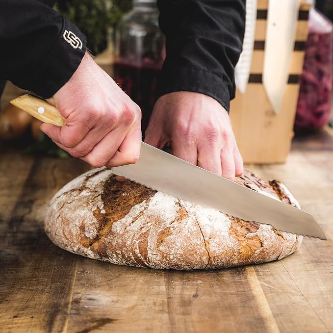 F. DICK – VIVUM Bread Knife – Serrated Knife with 10.2" blade & 58 HRC - Ideal for Bread, fruits & vegetables - Stainless steel - Ultra sharp - Birchwood handle – Made in Germany