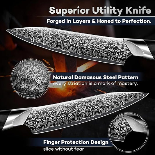 DRAGON RIOT Japansec Paring Knife 5 inch, VG-10 Steel Fruit Knives, Japanese Peeling Knife with Ergonomic Wood Handle