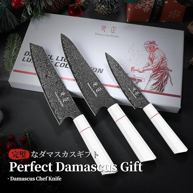 DRGSKL Japanese Knife Set Damascus - VG10 Kitchen Knife Set 3 PCS for Fruit, Vegetables, Fish and Meat - Japanese G10 Handle - Gifts for Men and Women