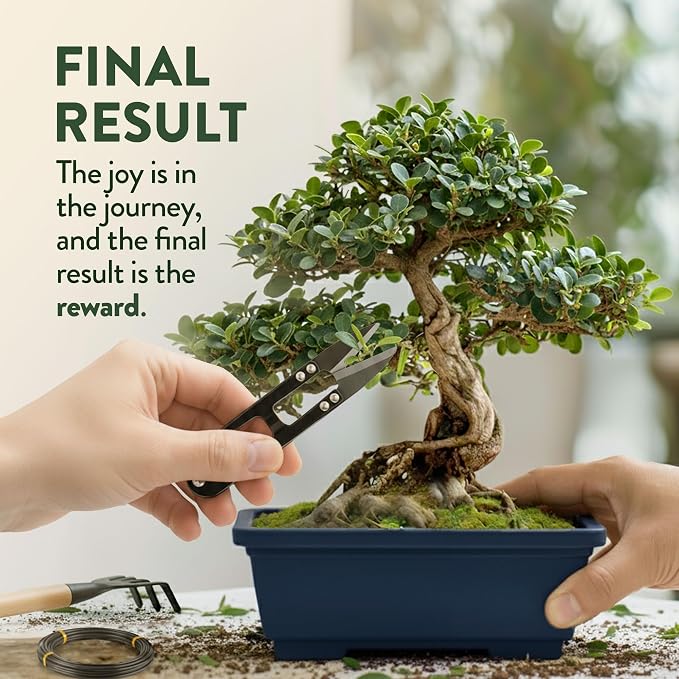 HOME GROWN Bonsai Tree Starter Kit – Unique Christmas Gift for Adults, Men, Women - Grow 4 Bonsais – DIY Crafts Hobby Gardening Kit for Plant Lovers, Mom, Dad - White Elephant Gifts for Adults