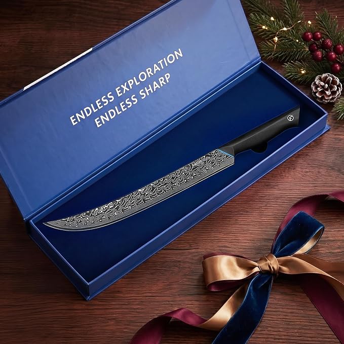 FINTISO Carving Brisket Knife 11.6 Inch, 67-Layer Damascus Steel Breaking Knife with Curved Blade, Slicing and Butcher Knives for Meat Cutting with Ergonomic G10 Handle - Zeus Series