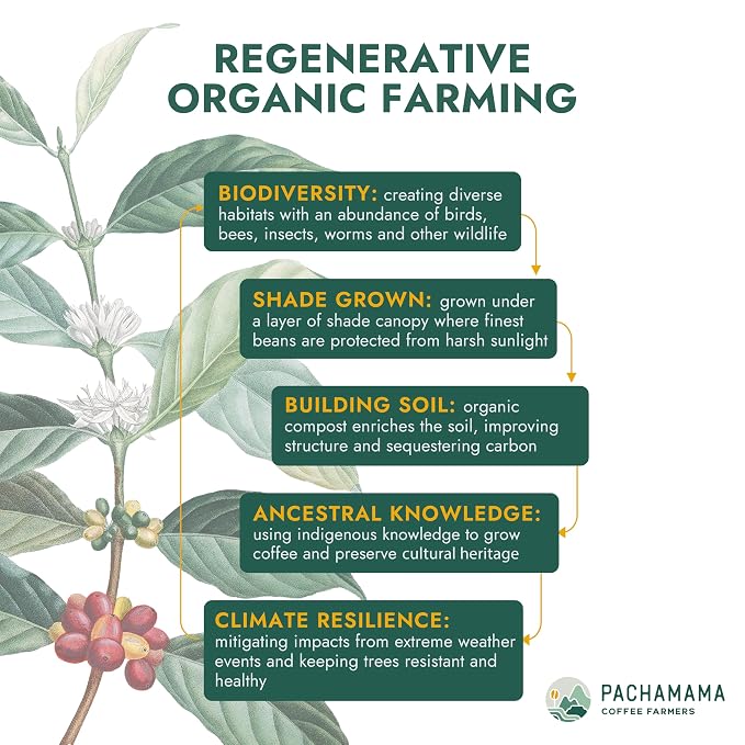 Pachamama Organic Coffee - Espresso Beans - Dark Roast Whole Bean Coffee - 2 lb - Farmer Owned & Regenerative