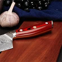 WILDMOK Damascus Boning Knife, 6.4 Inch Sharp Professional Fish Fillet Knife, Japanese Super VG10 Steel Multifunction Kitchen Knife with Full Tang G10 Handle-Song Series
