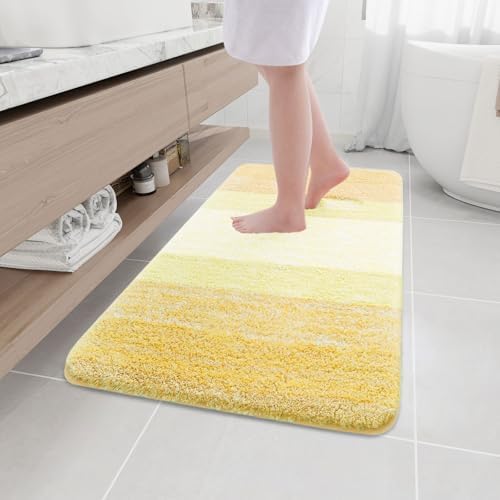 Arotive Microfiber Bathroom Rugs, Shaggy Soft Absorbent Bath Rug, 44x24