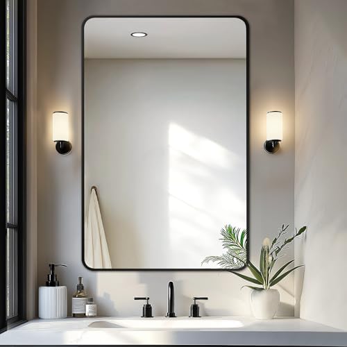 Delma Bathroom Vanity Mirror, Black Framed Mirror for Over Sink, 40x28