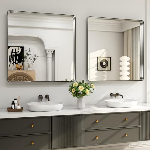 LOAAO 30X30 Inch Brushed Nickel Bathroom Mirror