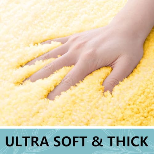 Arotive Microfiber Bathroom Rugs, Shaggy Soft Absorbent Bath Rug, 70x24