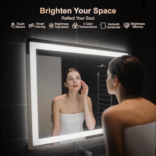 Delma 30x40 LED Bathroom Vanity Mirror with Lights, Anti-Fog, Dimmable