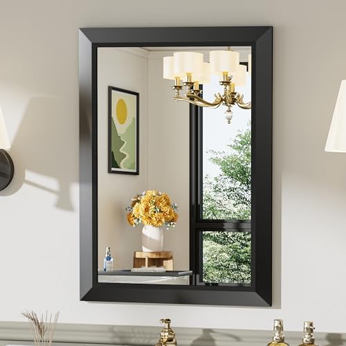 Briivue Black Metal Framed Bathroom Wall Mirror, 20x28 Inch