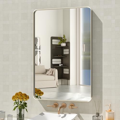 WEER Brushed Nickel Bathroom Vanity Mirror 20X30 Inch