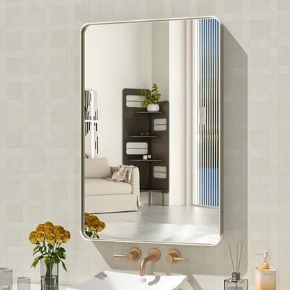 WEER Brushed Nickel Bathroom Vanity Mirror 20X30 Inch
