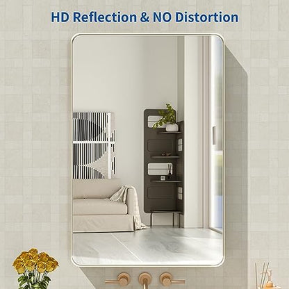 WEER Brushed Nickel Bathroom Vanity Mirror 20X30 Inch