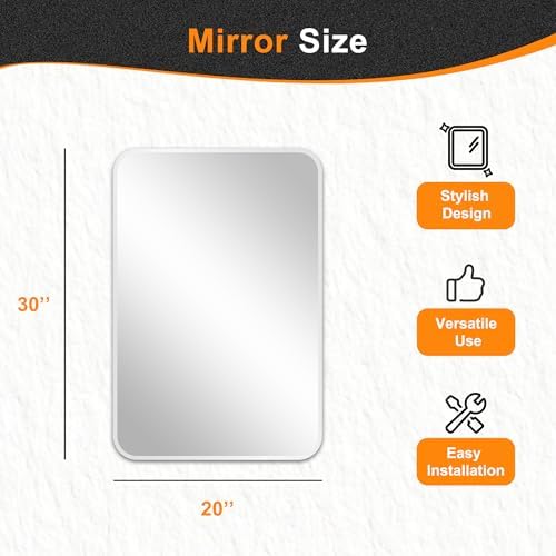 Delma Bathroom Vanity Mirror, Silver Framed Mirror for Over Sink, 30x20