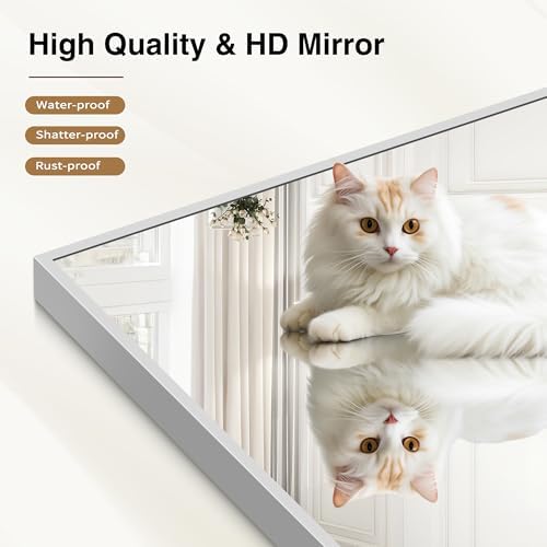 COFENY Silver Bathroom Mirror for Wall, 30x60 Inch Rectangle Mirrors with Metal Frame, Modern Vanity Large Wall Mirror for Bathroom Living Room, Entryway Hangs Horizontal or Vertical