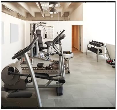 Delma Home Gym Mirror, 54''x30''x2PCS Black