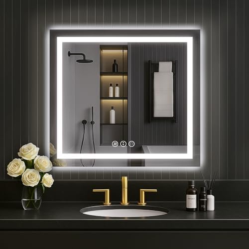 LOAAO 30"X30" LED Bathroom Mirror with Lights, UL Listed