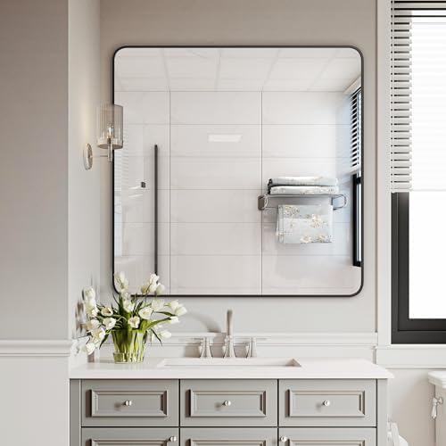 Delma Bathroom Vanity Mirror, Black Framed Mirror for Over Sink, 30x30