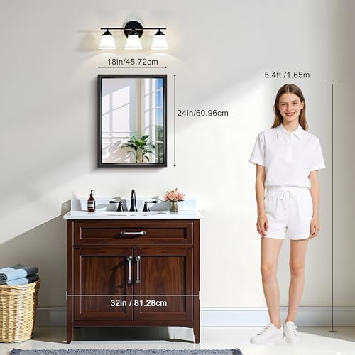 CIRCUMI 18"x24" Brushed Black Bathroom Mirror, Rectangular Vanity Mirror