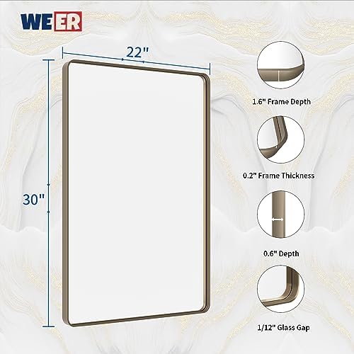 WEER Bronze Bathroom Vanity Mirror 22X30 Inch