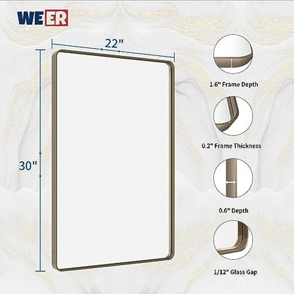 WEER Bronze Bathroom Vanity Mirror 22X30 Inch