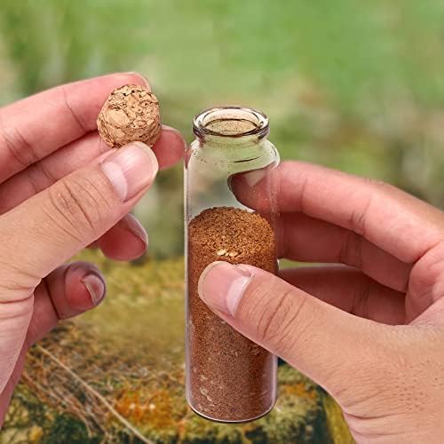 TOBWOLF 12PCS 50ml / 1.7oz Glass Spice Bottles, Silica Glass Seasoning Jars with Cork, Empty Spice Containers Seasoning Bottles, Small Spice Containers Organizer for Home Kitchen, Outdoor Camping, BBQ