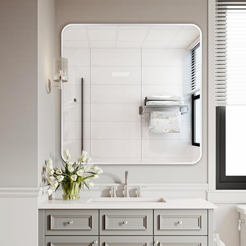 Delma Bathroom Vanity Mirror, Silver Framed Mirror for Over Sink, 30x30