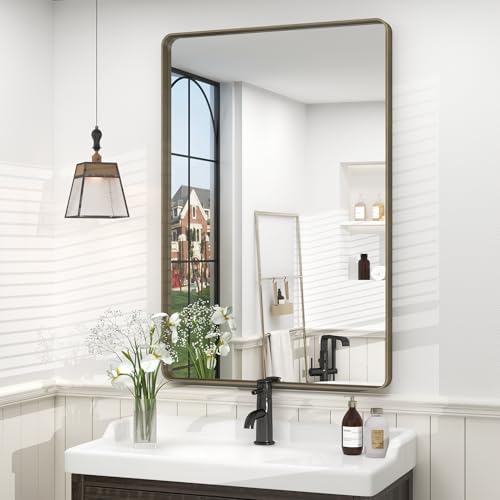 24x36 Inch Brushed Bronze Bathroom Mirror for Wall