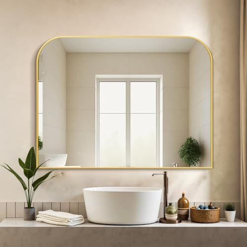Delma 30"x40" Gold Metal Framed Bathroom Mirror for Over Sink