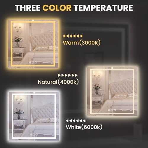 LOAAO 30"X30" LED Bathroom Mirror with Lights, UL Listed
