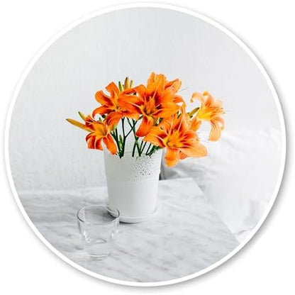 Oruii Small Round Mirror, 18 inch White Circle Mirror, White Metal Frame