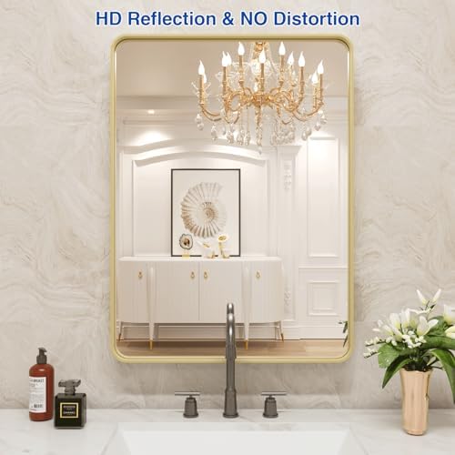 WEER Gold Bathroom Vanity Mirror 20X30 Inch
