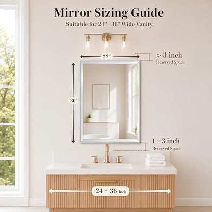 Brushed Nickel Bathroom Mirrors for Over Sink 22x30 Inch