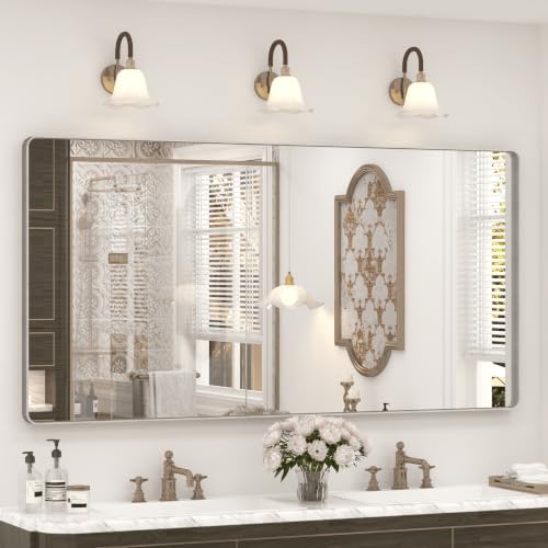 60x28 Inch Brushed Silver Bathroom Mirror for Wall