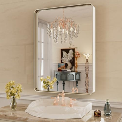 WEER Brushed Nickel Bathroom Vanity Mirror 22X30 Inch