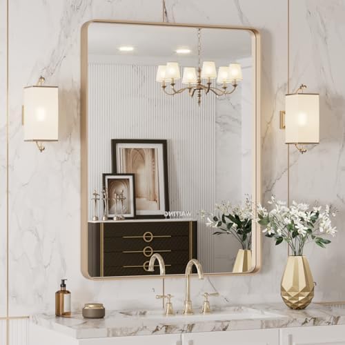LOAAO 20"X30" Gold Bathroom Mirror