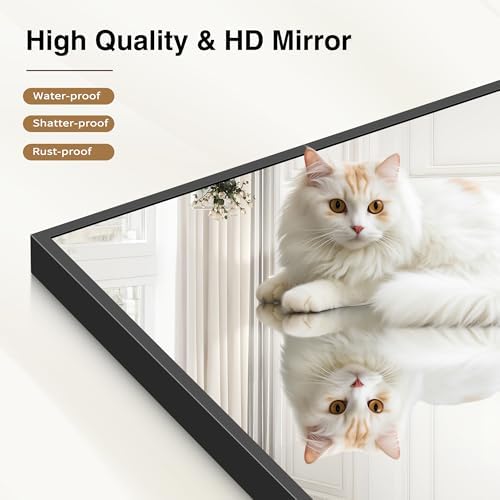 COFENY 36x50inch Bathroom Mirror, Black Rectangle Mirrors with Thin Metal Frame, Large Rectangular Wall Mirror for Bathroom, Living Roomm, Hair Salon, Big Farmehouse Mirror Hang Horizontal/Vertical
