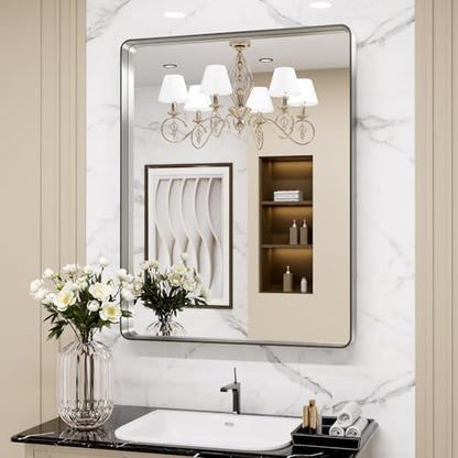LOAAO 24X36 Inch Brushed Nickel Bathroom Mirror