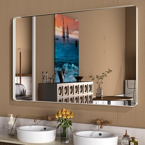 WEER Brushed Nickel Bathroom Vanity Mirror 60X36 Inch