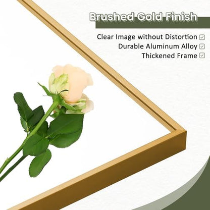 Dewfig Mirror Full Length, 64"X21" Floor Mirror, Rectangle Shape, Gold