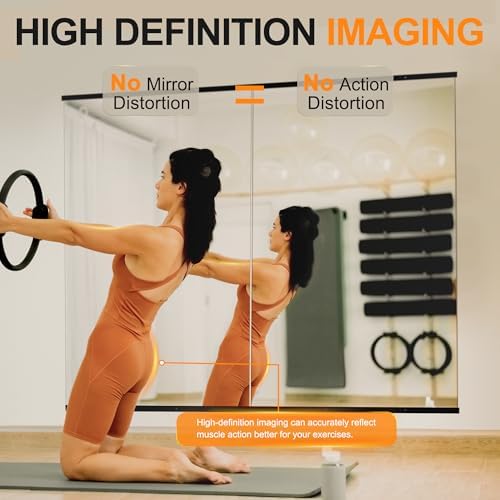 Delma Home Gym Mirror, 48''x28''x2PCS Black Wall Mounted Large Frameless Tempered Glass Wall Mirror for Home Gym, Garage, Bedroom, Bathroom