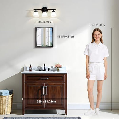 CIRCUMI 14"x16" Brushed Black Bathroom Mirror, Rectangular Vanity Mirror