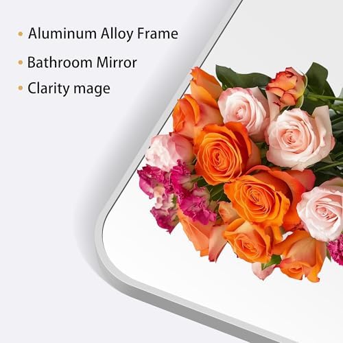 DESBING 42" x 42"Bathroom Mirror, Silver Wall Mirror with Metal Frame, Decorative Rectangular Vanity Mirror for Bedroom Bathroom Living Room Entryway (Horizontal/Vertical)